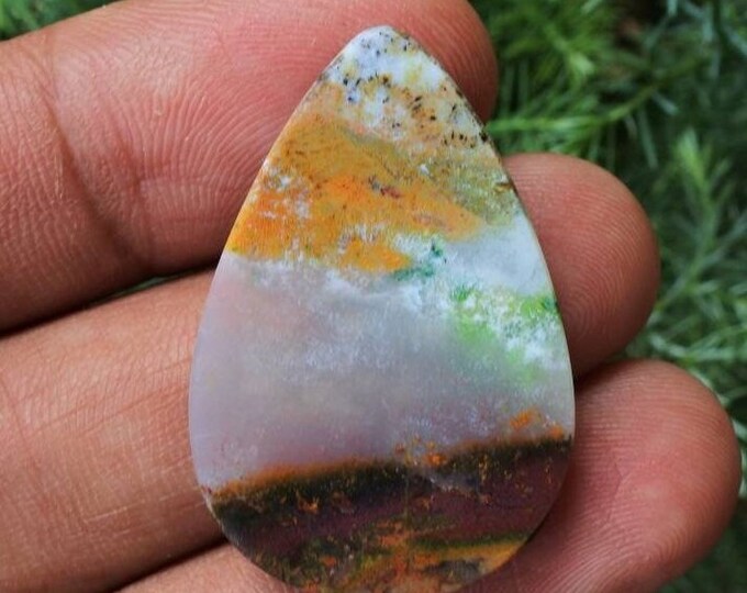 Multicolor Opalized petrified wood