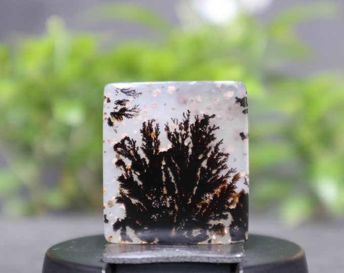 Dendritic agate