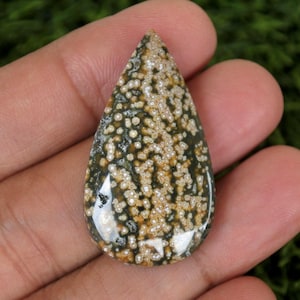 Puede incluir: Una gema pulida en forma de lágrima. La piedra presenta un fondo verde oscuro con un patrón de pequeños puntos color crema. La gema se sostiene en una mano, mostrando su forma y el patrón de su superficie.