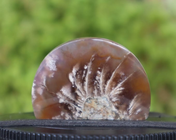 Purple Plume Moss Agate,Flower agate,Agate rock,Agate stone, Malachite Gemstone,Mohs scales of mineral hardness,Agate crystal meaning