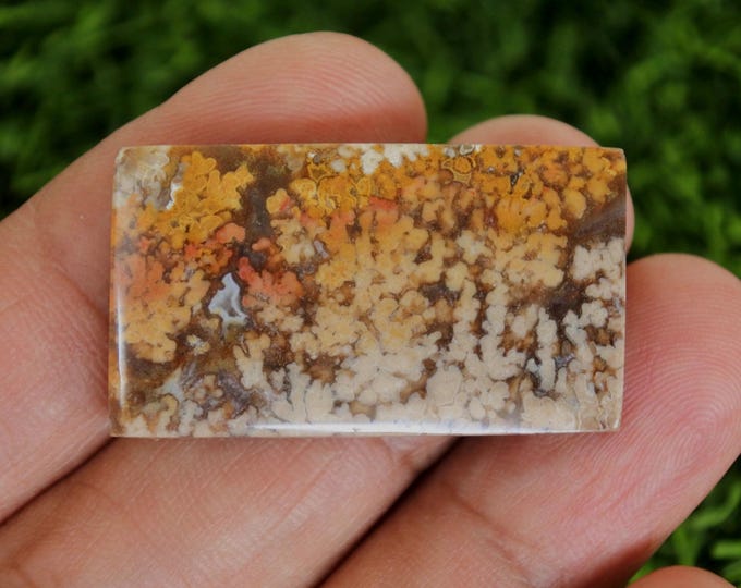 Plume Agate,Agate rock,Agate stone, Malachite Gemstone,Mohs scales of mineral hardness,Agate crystal meaning,Larimar gemstone,Tree agate