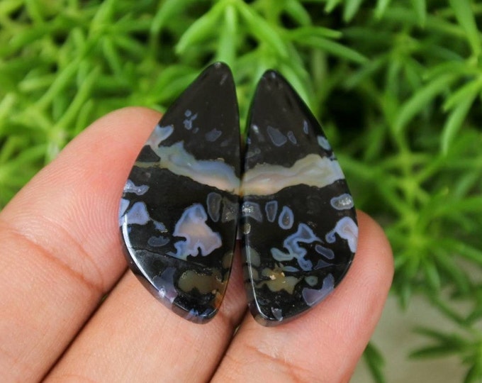 Fossilized Black Palm Tree Earring Pair