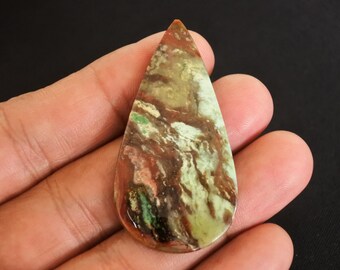Opalized Petrified Wood