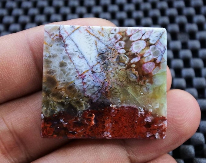 Plume Multicolor Opalized Petrified Wood