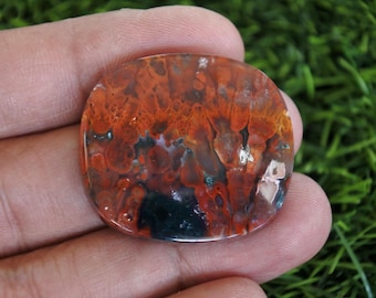 Plume Multicolor Opalized Petrified Wood