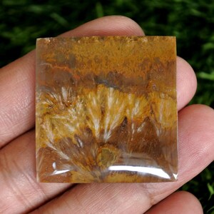 Könnte beinhalten: Ein quadratischer, polierter Edelstein-Cabochon mit einer warmen Farbpalette aus Goldbraun, Hellbraun und tiefem Bernstein. Der Stein zeigt komplizierte, fächerartige weiße Feder-Einschlüsse, die strahlenförmig über die glatte, glänzende Oberfläche verlaufen.