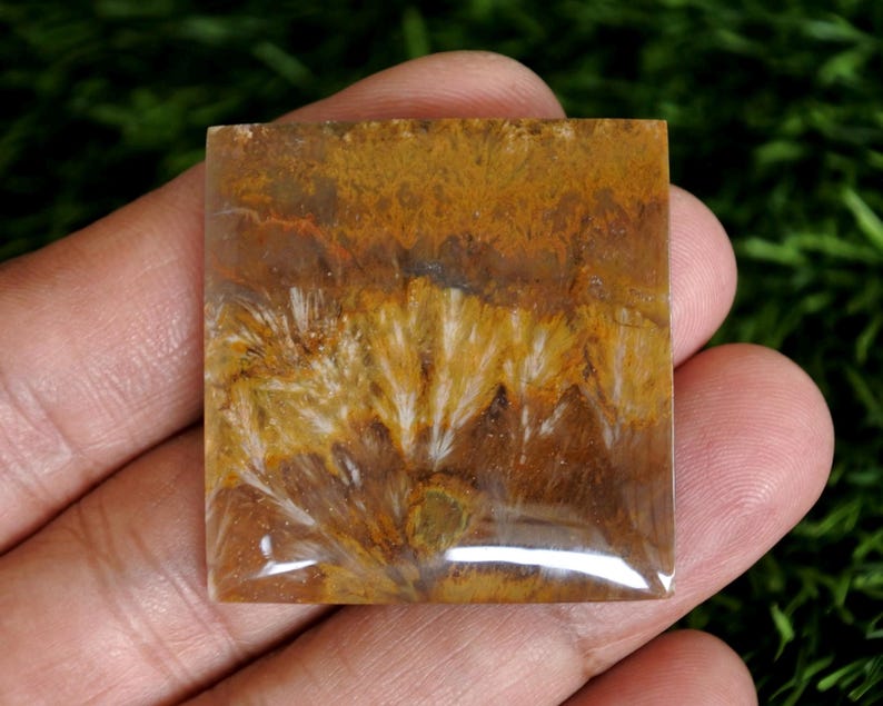 May include: A square-shaped polished gemstone cabochon featuring a warm colour palette of golden brown, tan, and deep amber tones. The stone displays intricate, fan-like white plume inclusions that radiate outwards across the smooth, glossy surface.