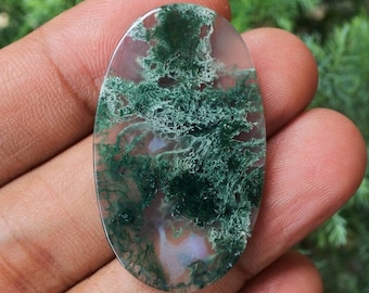 May include: Oval shaped green moss agate cabochon with a white background. The stone has a dendritic pattern.