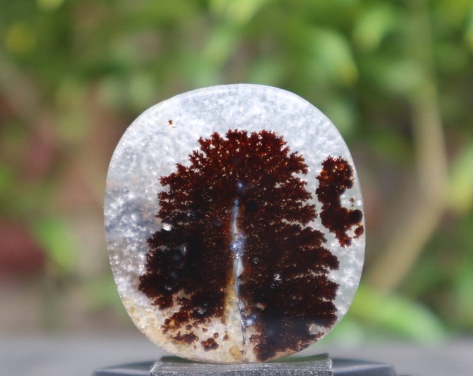 Rare dendritic agate