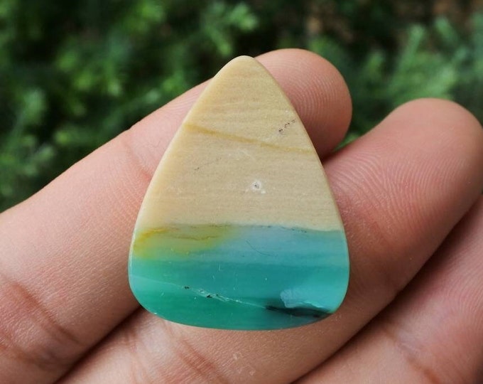 Opalized Petrified Wood