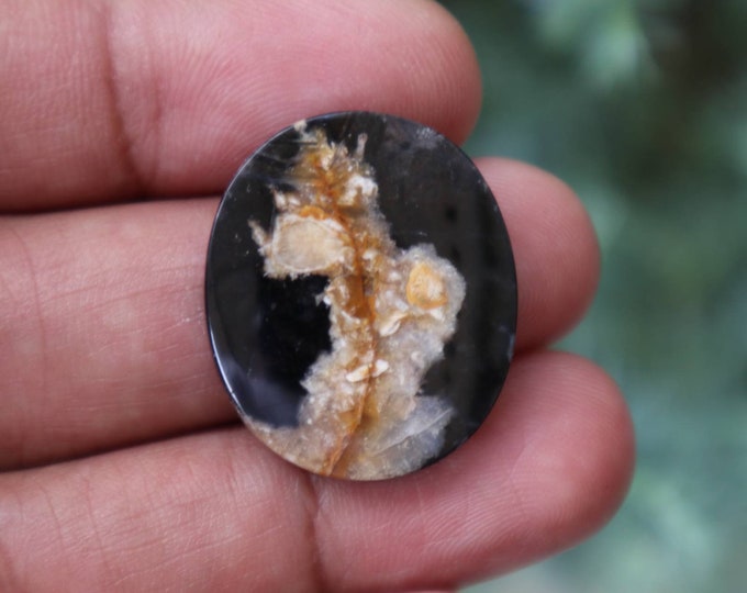 Fossilized Black Palm Tree