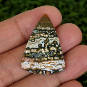 Puede incluir: Una gema triangular con una superficie pulida. La piedra presenta una mezcla de colores marrón, blanco, verde y negro, con un patrón moteado. La gema se sostiene en una mano sobre un fondo verde borroso.