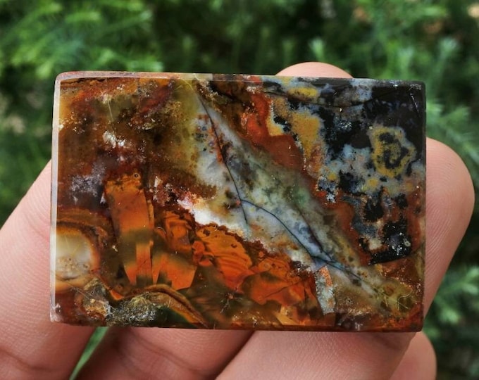 Multicolor Opalized petrified wood