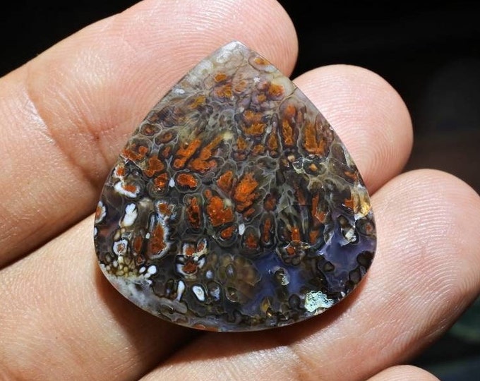 Plume Multicolor Opalized Petrified Wood