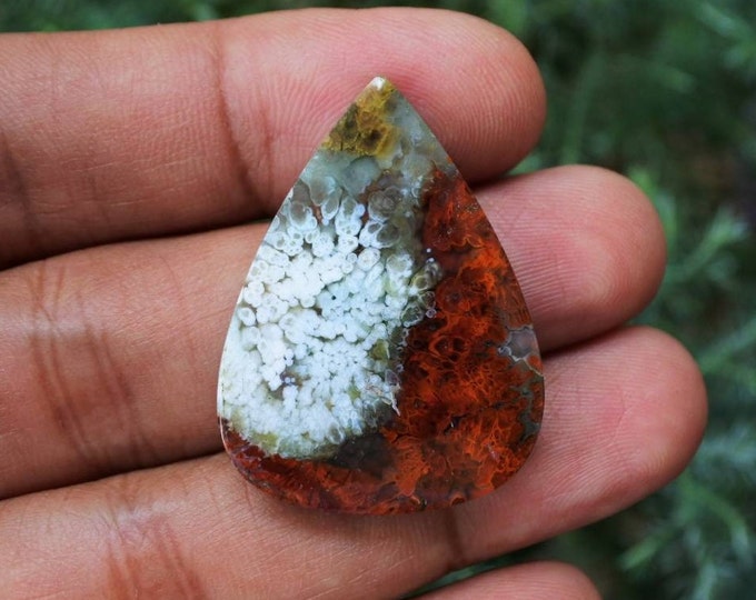 Plume Multicolor Opalized Petrified Wood