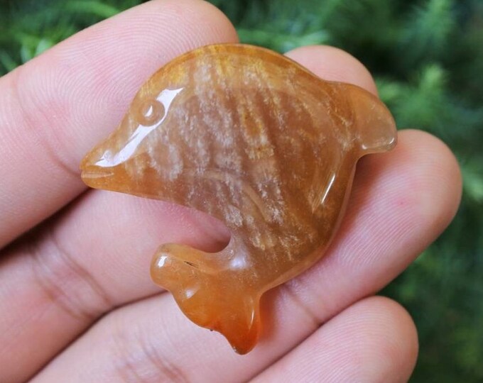 Dolphin Coral Agate Handmade Carving