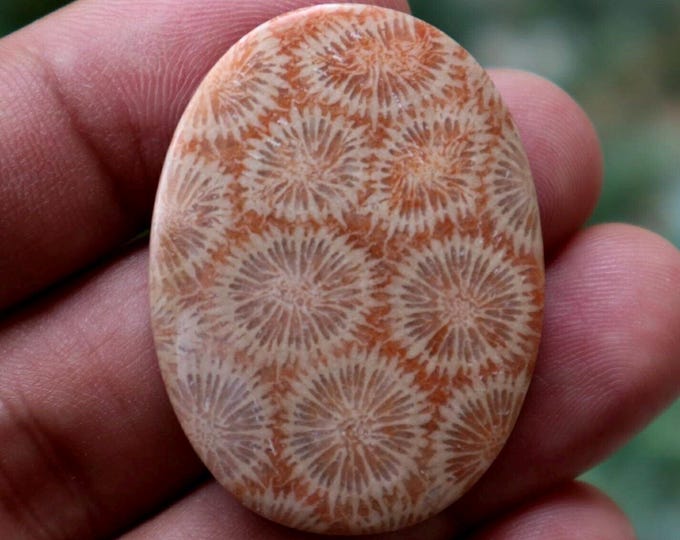 Coral Agate Gemstone: Polished Agate Rock (40x30x5 mm)