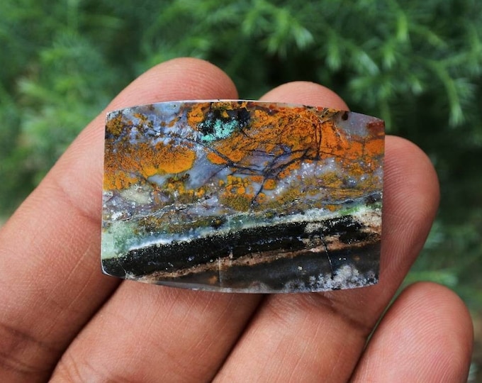 Opalized petrified wood