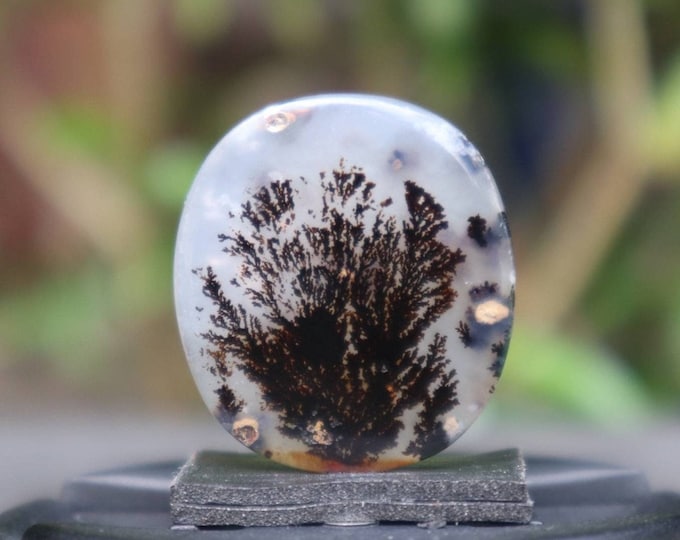 Dendritic agate