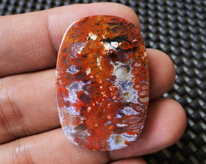 Plume Multicolor Opalized Petrified Wood