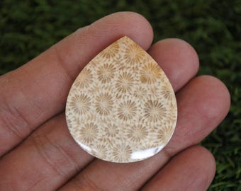 Coral Agate Gemstone: Teardrop Agate Rock