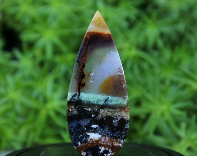 Multicolor Opalized wood