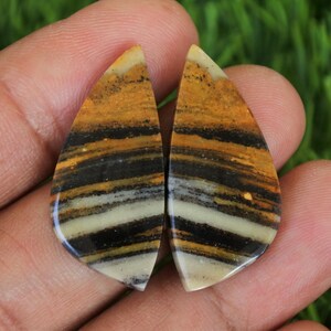 May include: Two teardrop-shaped gemstones with a layered pattern of tan, black, and white bands. The polished stones are held in a hand against a backdrop of green grass, showcasing their natural beauty and unique design.