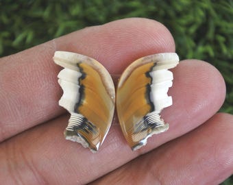 Natural Shape, Butterfly Agate Earring Pair