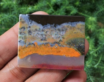 Multicolor Opalized wood