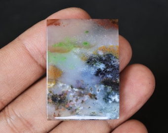 Scenic Multicolor Opalized wood
