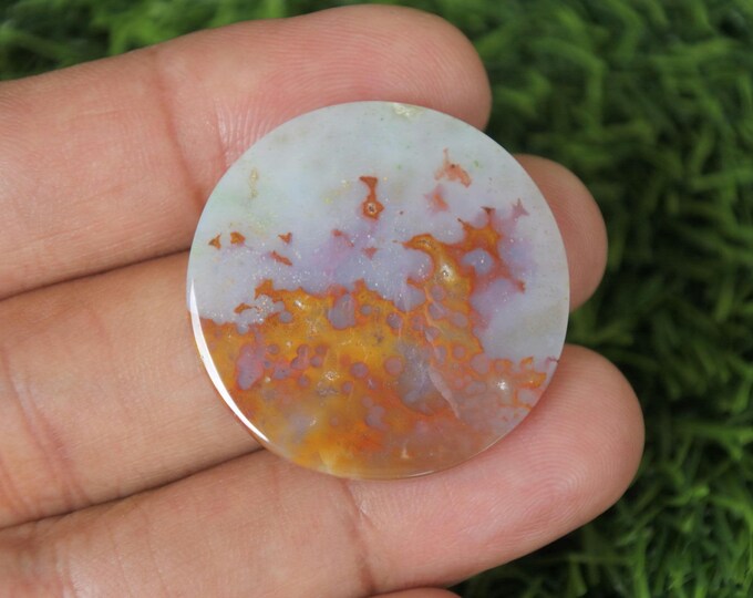 Multicolor Opalized Wood