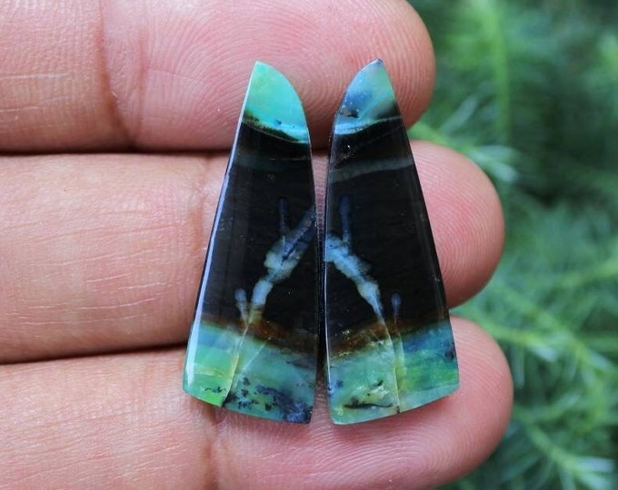 Blue Opalized Wood Earring Pair