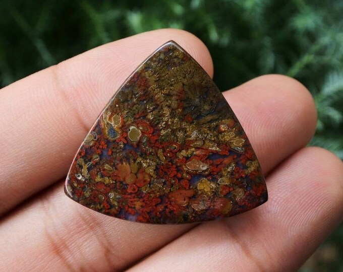 Multicolor Plume Jasper