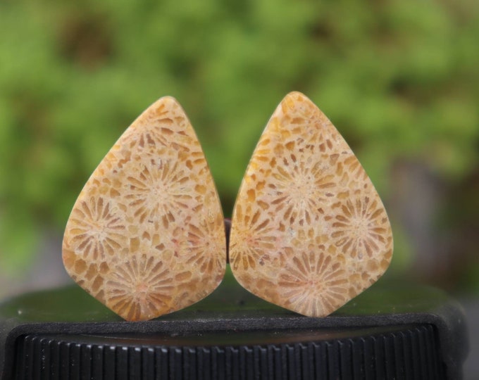 Coral agate pair,Agate rock,Agate stone, Malachite Gemstone,Agate crystal meaning,Larima gemstone,Flower agate,Tree agate,Fire agate