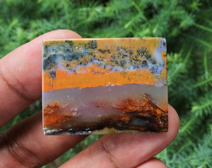Multicolor Opalized wood