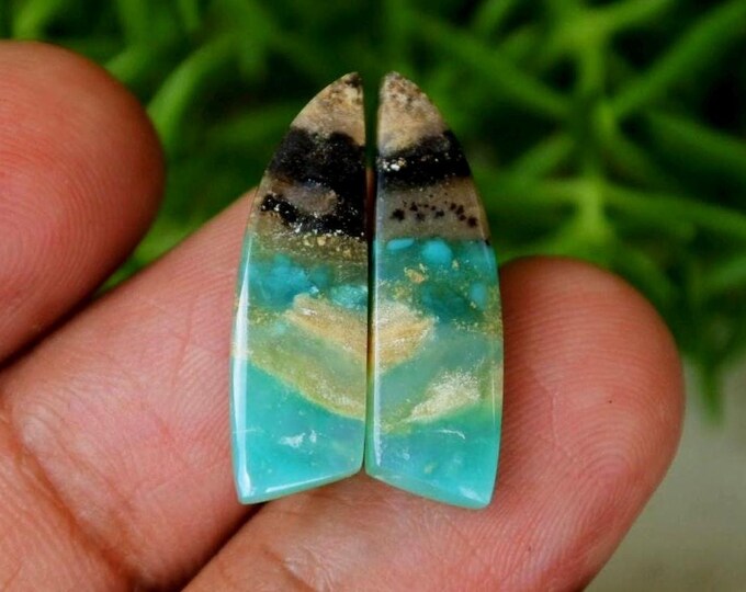 Blue Opalized Wood Earring Pair