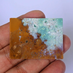 Opalized Petrified Wood