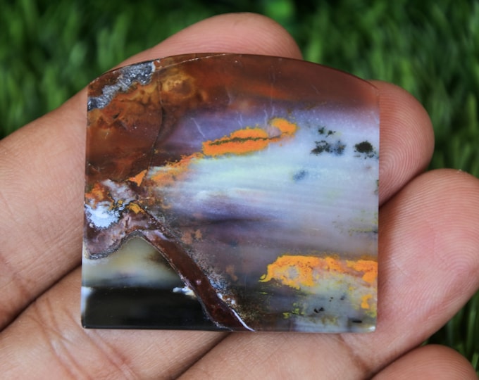 Scenic Multicolor Opalized Petrified Wood