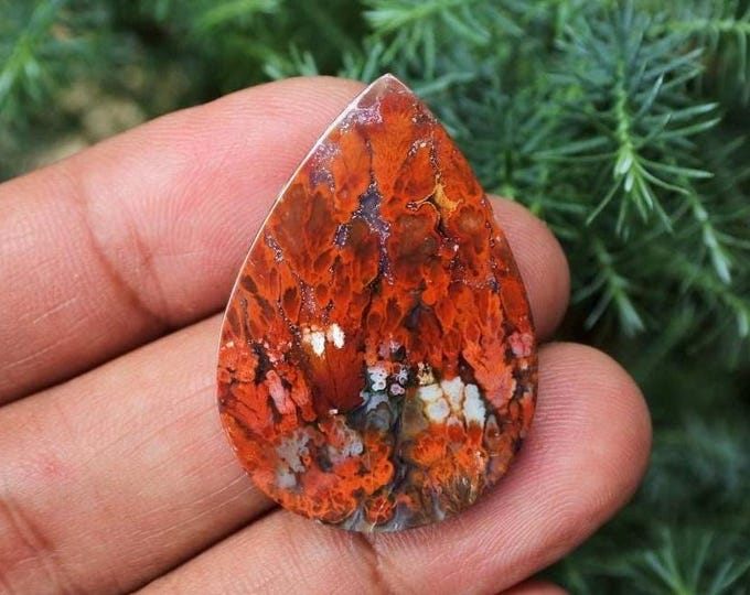 Plume Multicolor Opalized Petrified Wood