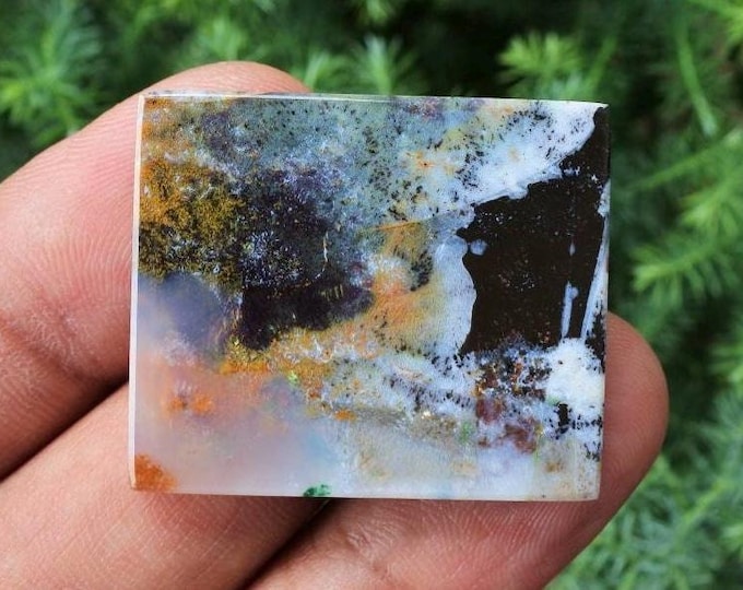 Multicolor Opalized wood