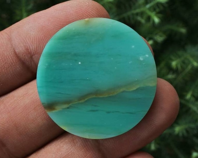Scenic Blue Opalized Wood