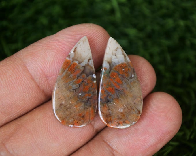 Plume Multicolor Opalized Petrified Wood Earring Pair