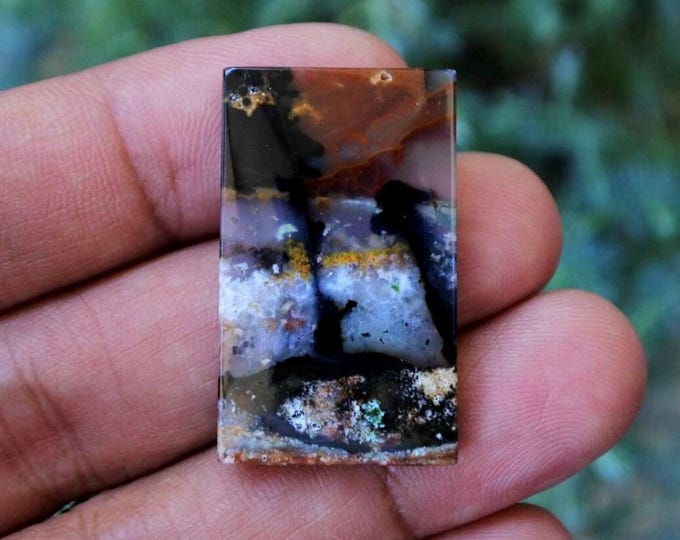 Multicolor Opalized Petrified Wood