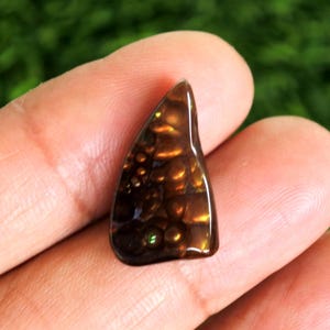 May include: A polished, teardrop-shaped gemstone with a rich, brown color and a unique, bubbly pattern. The gem is held between fingers, showcasing its intricate details and glossy surface. The stone's color ranges from dark brown to amber.