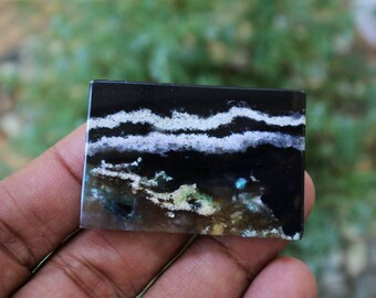 Opalisiertes versteinertes Holz