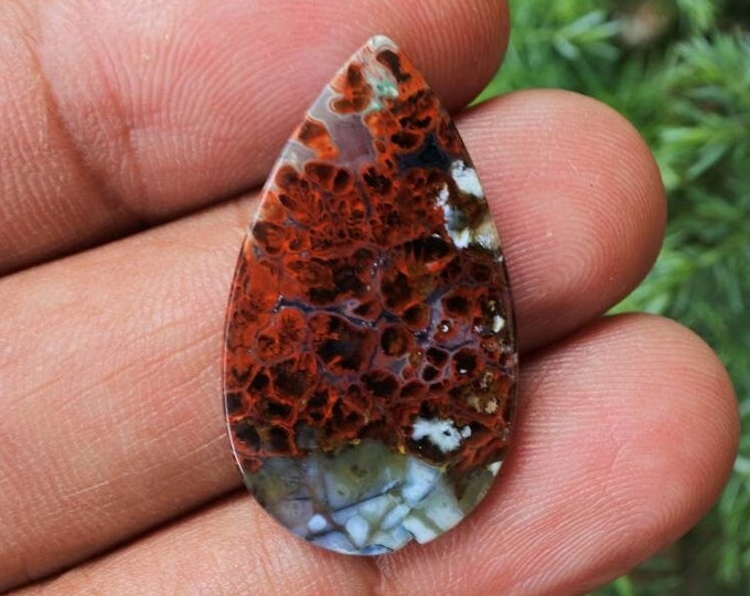 Plume Multicolor Opalized Petrified Wood