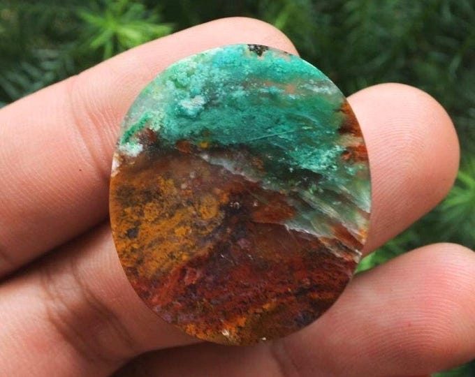 Blue Opalized petrified wood