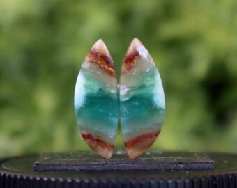 Par de pendientes de madera petrificada opalizada