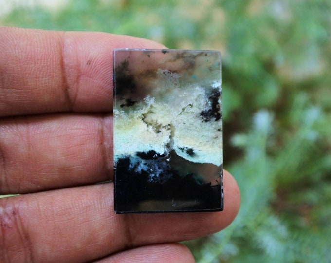 Opalized petrified wood