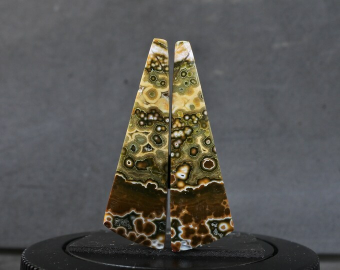 Multicolor Ocean Jasper Earring Pair
